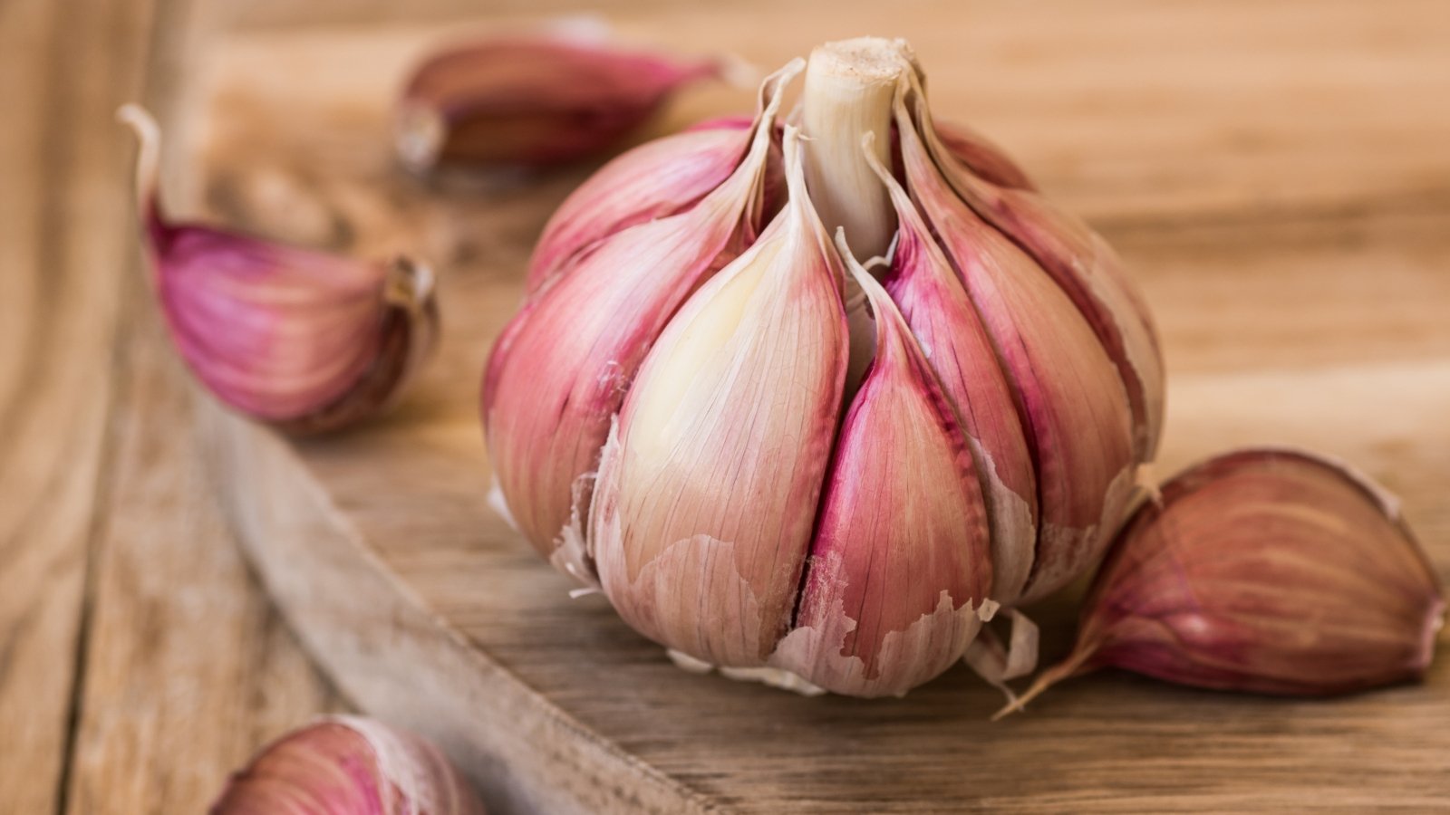 Rich purple-pink bulb with a satiny sheen and neatly arranged cloves.