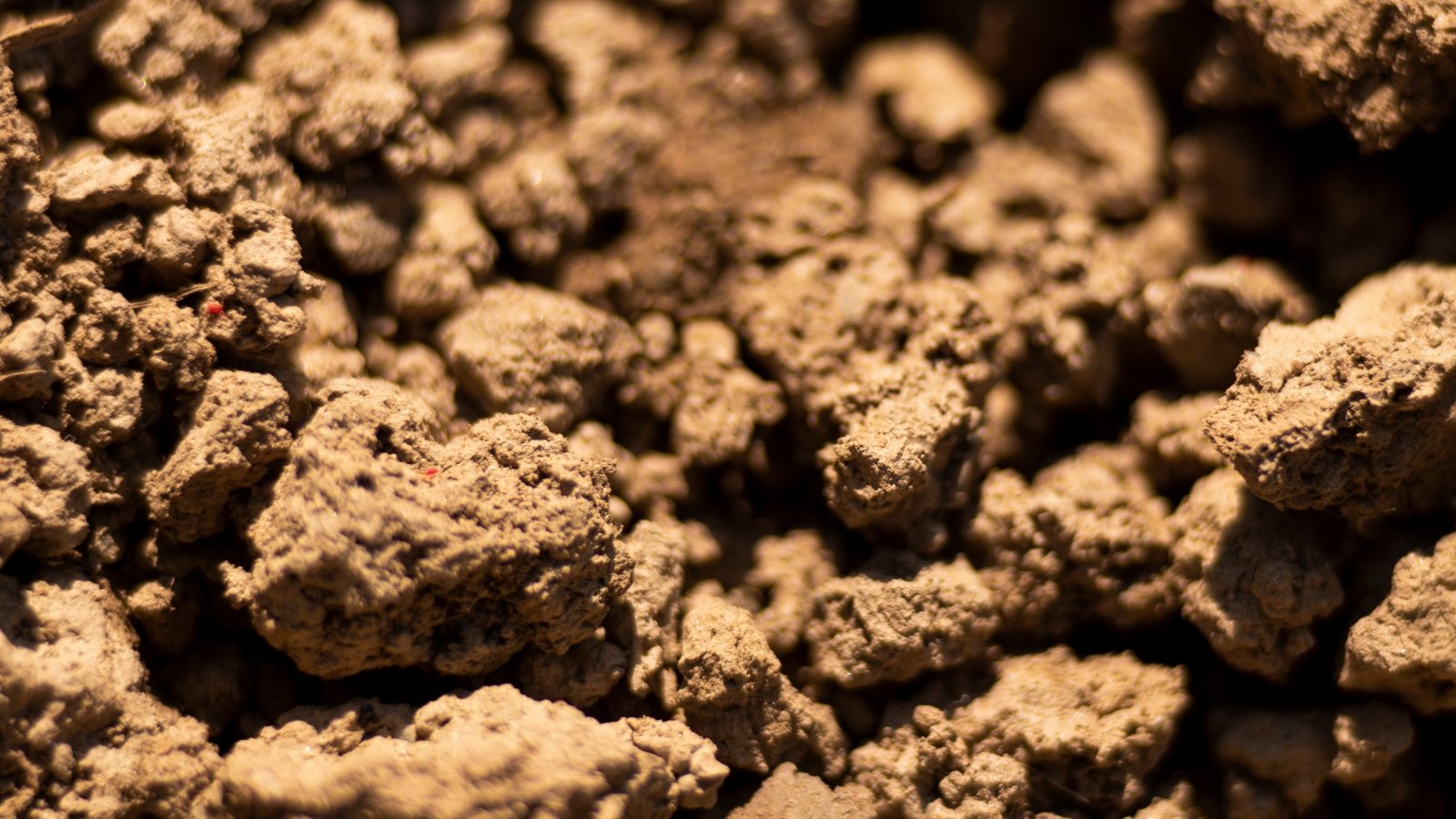 Close-up of dense, smooth clay soil with a sticky texture and reddish-brown color.