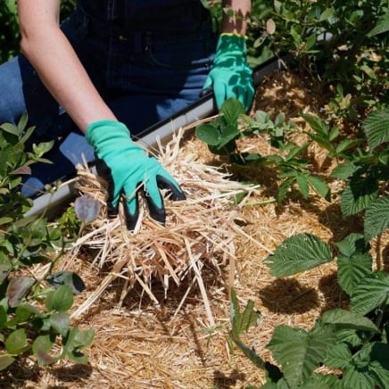 Epic Organic Garden Straw