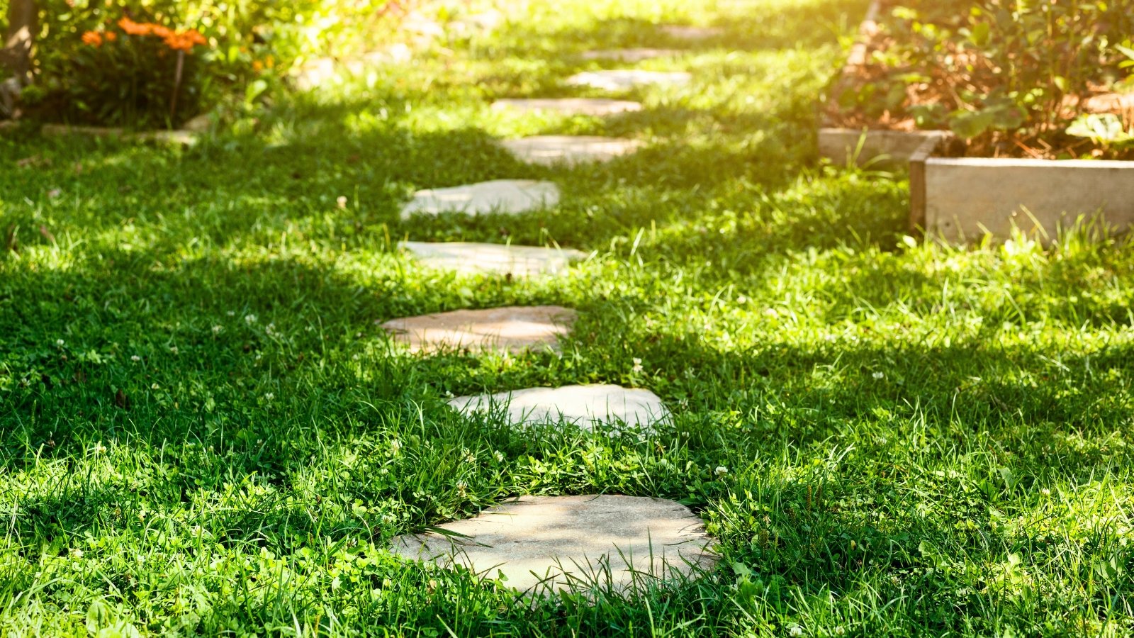 Flat stone footpath weaves through a vibrant green lawn, with evenly spaced stones nestled into the grass.