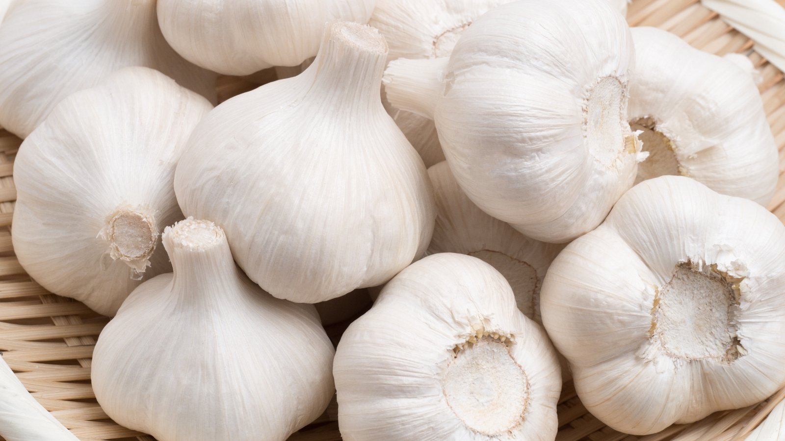 Large, white, stiffneck bulbs with firm outer layers and a starburst clove pattern.