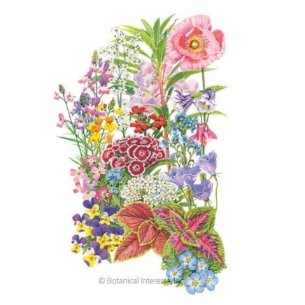 Made in the Shade Flower Mix Seeds