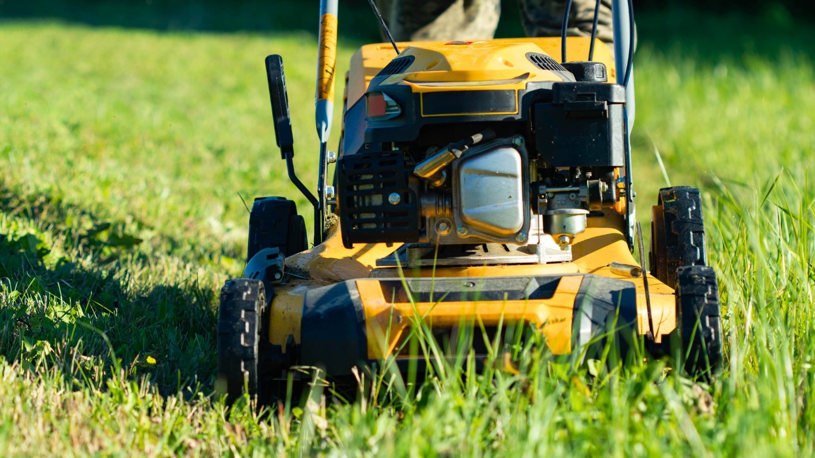 A yellow mower trims the lush green lawn in a sunny backyard, leaving neat rows of freshly cut grass.
