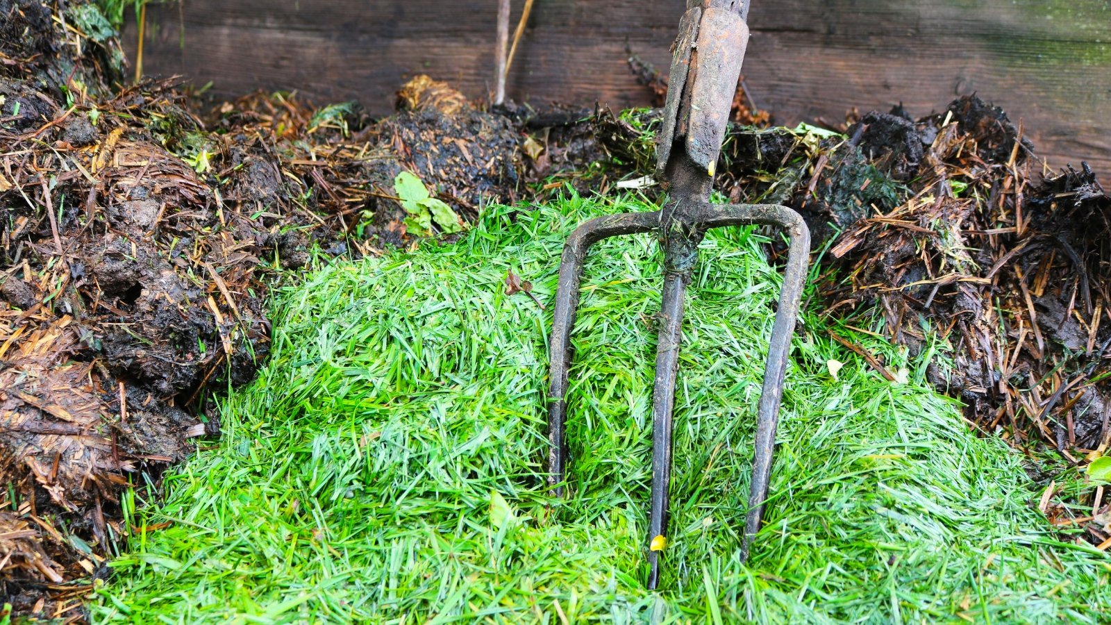 Rotted brown mass and green grass clippings fill a compost bin with metal forks standing upright in the heap.