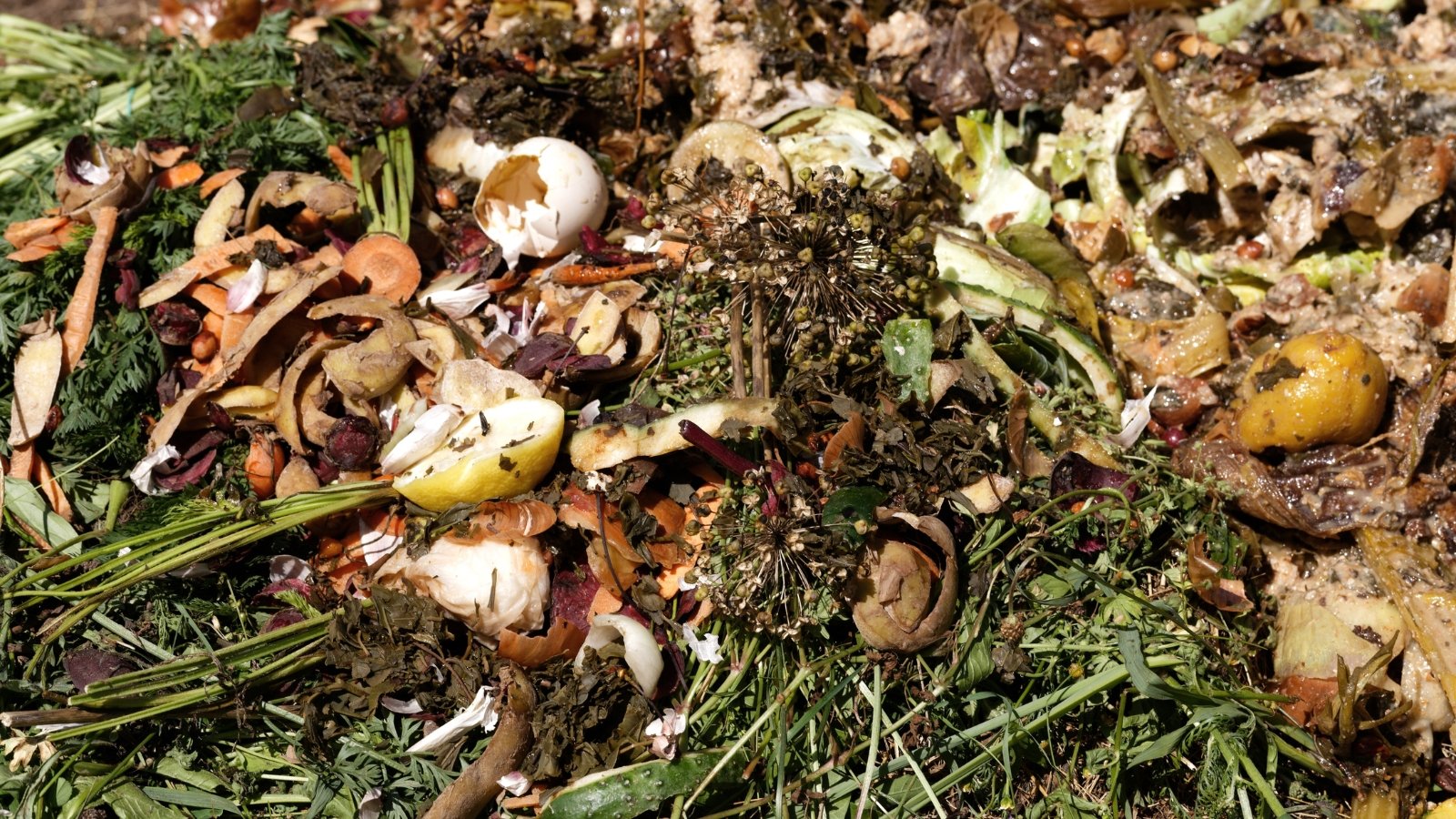 A composting pile of rotting kitchen scraps with wilted peels, food bits, and dark, decaying matter.