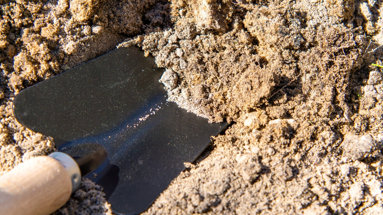 A black garden trowel with a wooden handle rests in light brown, granular soil — a clear example of sandy soil.