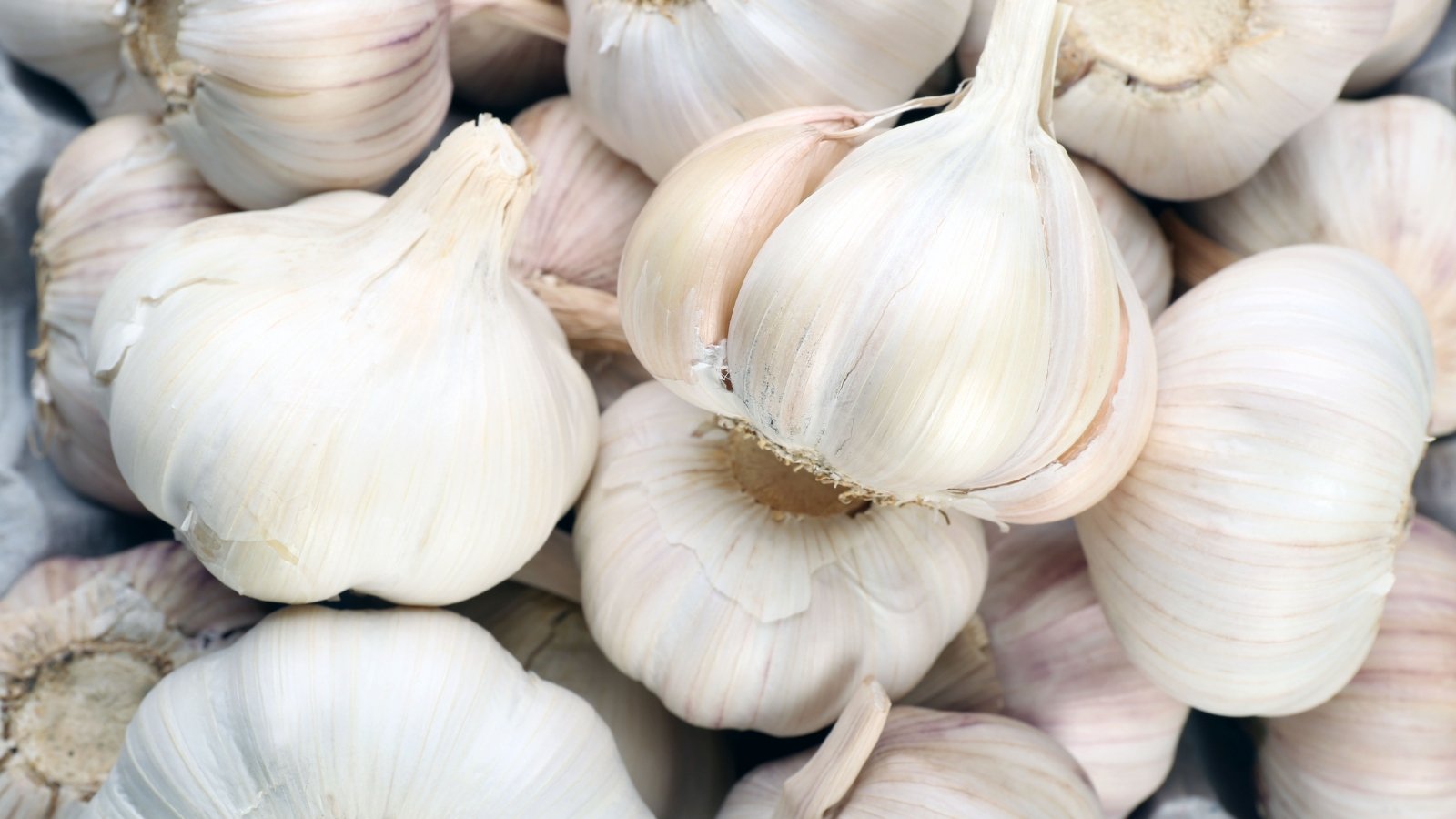 Large, multi-layered bulbs of white color with soft blush lie on a pile.