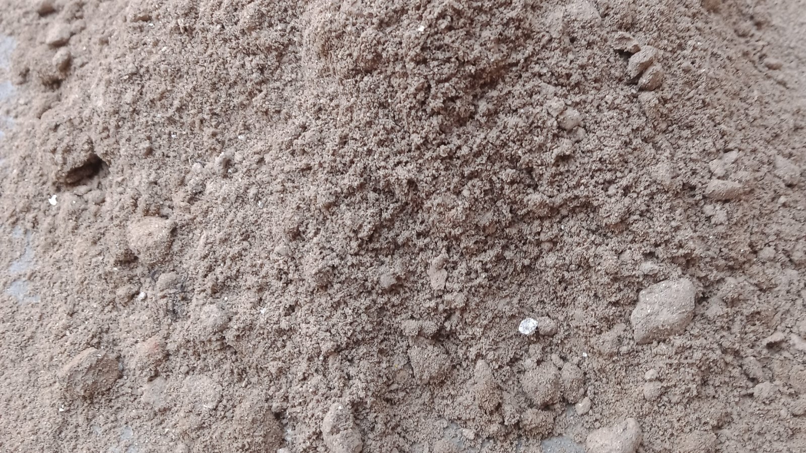 A soft, fine-textured pile of light gray silt with a smooth, powdery surface.
