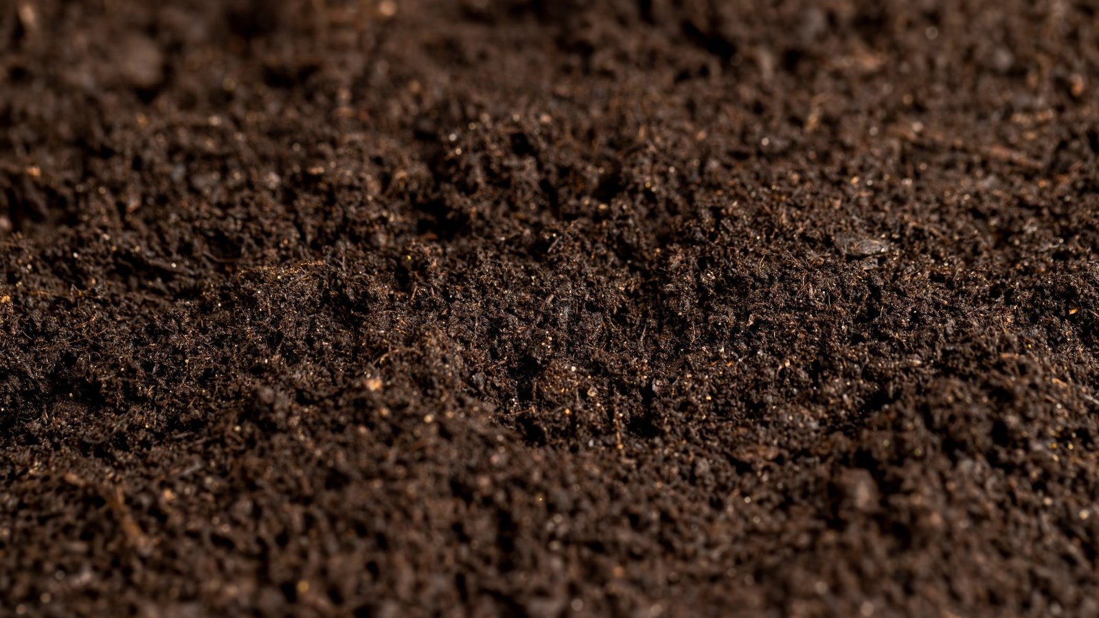 Close-up of loose, rich garden bed soil with fine texture, small clumps, and traces of organic matter.

