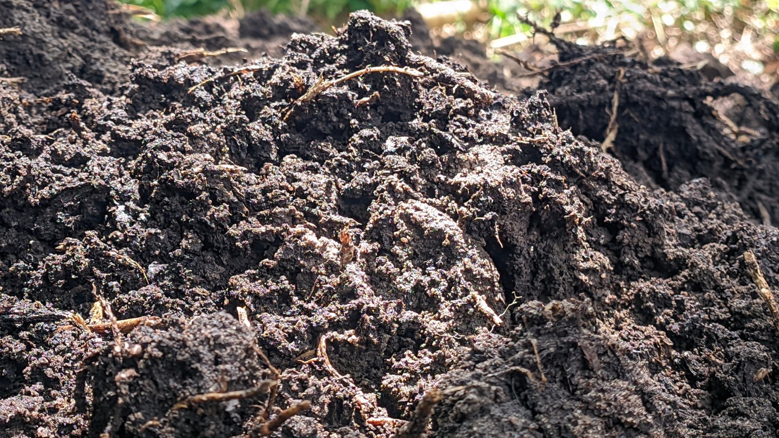 Close-up of soil showing a crumbly structure with visible macropores and small root fragments.
