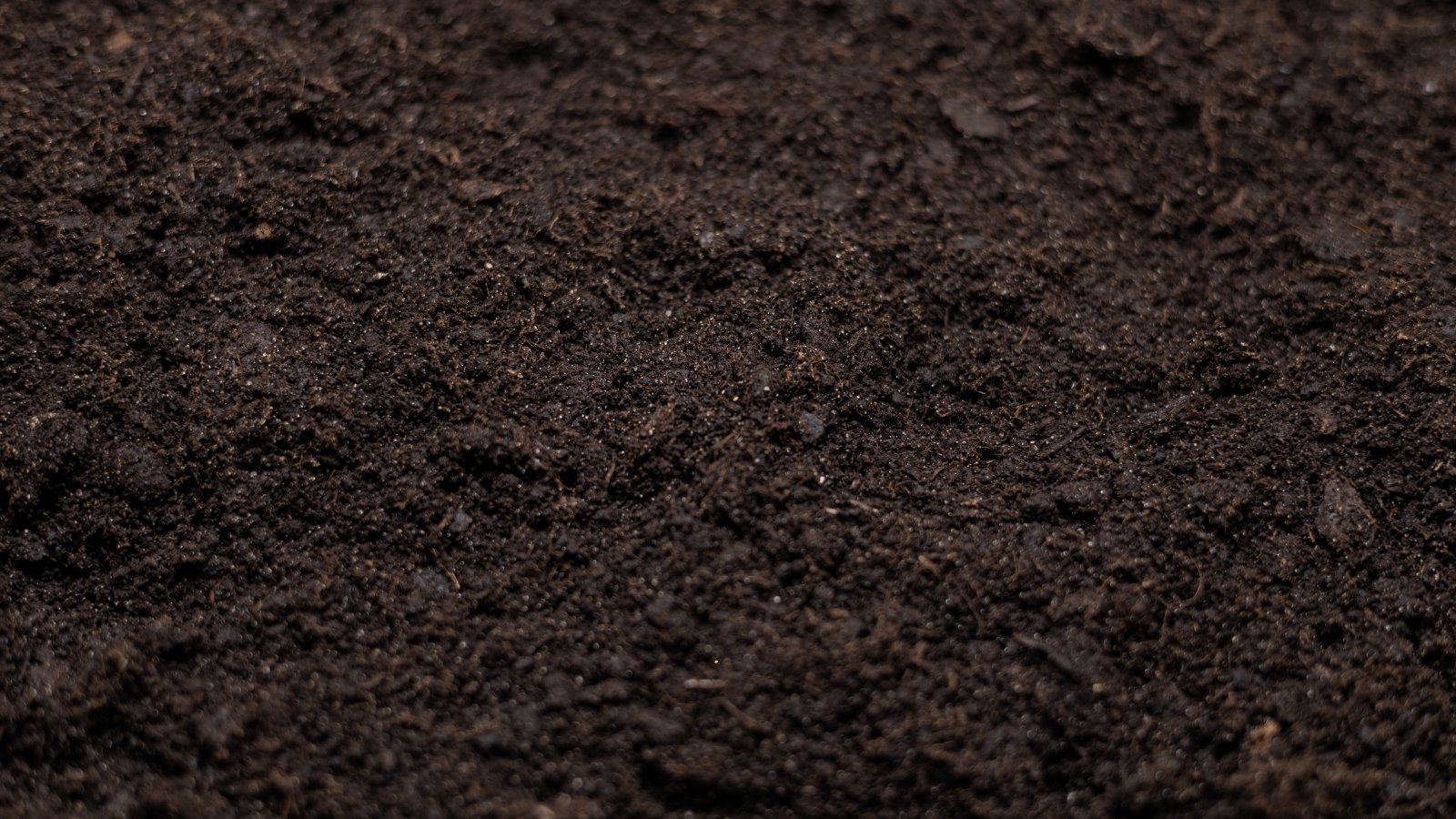 Close-up of compact soil surface with a fine, dense texture and minimal visible pore space, indicating micropores.
