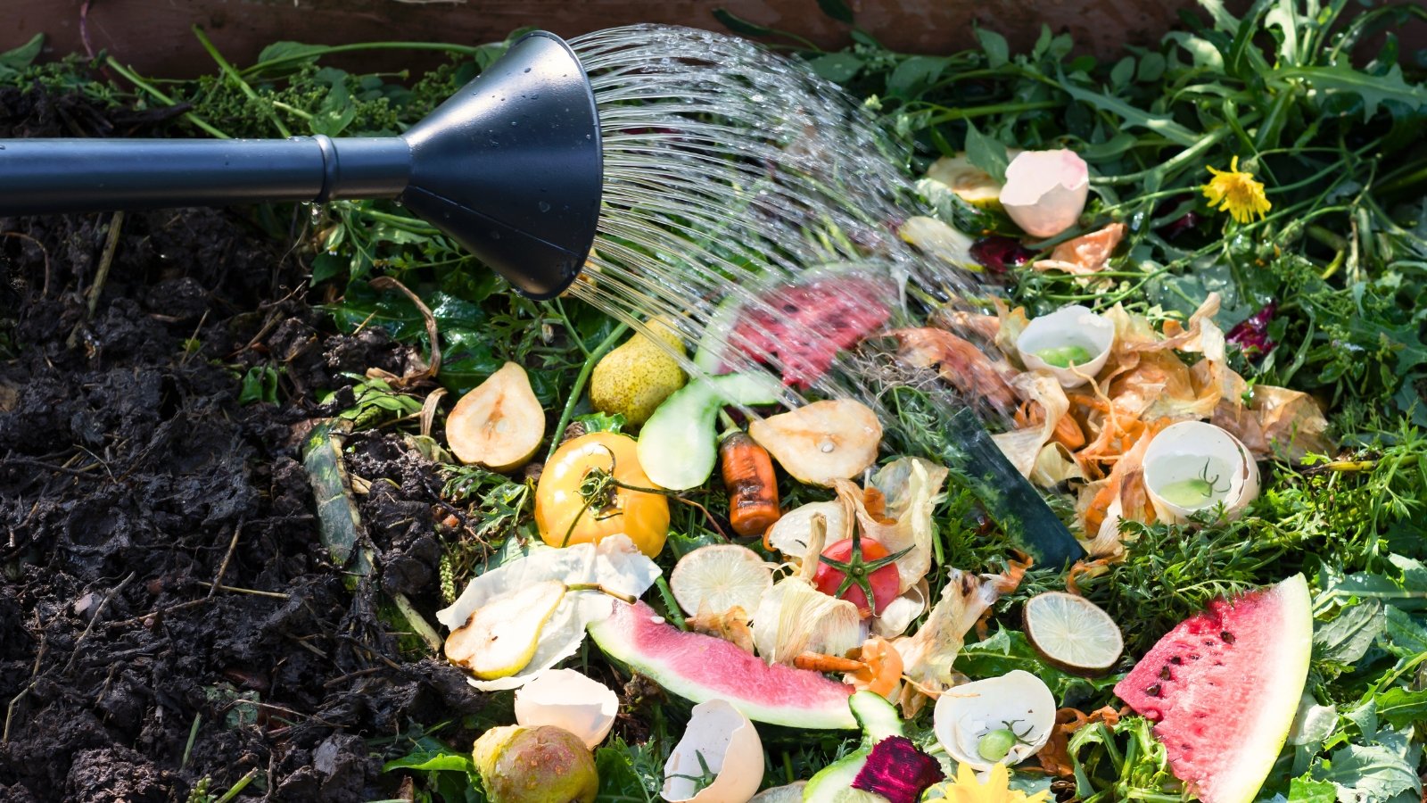 Close-up of a watering can pouring water onto a large compost pile made up of kitchen scraps, garden debris and brown material.