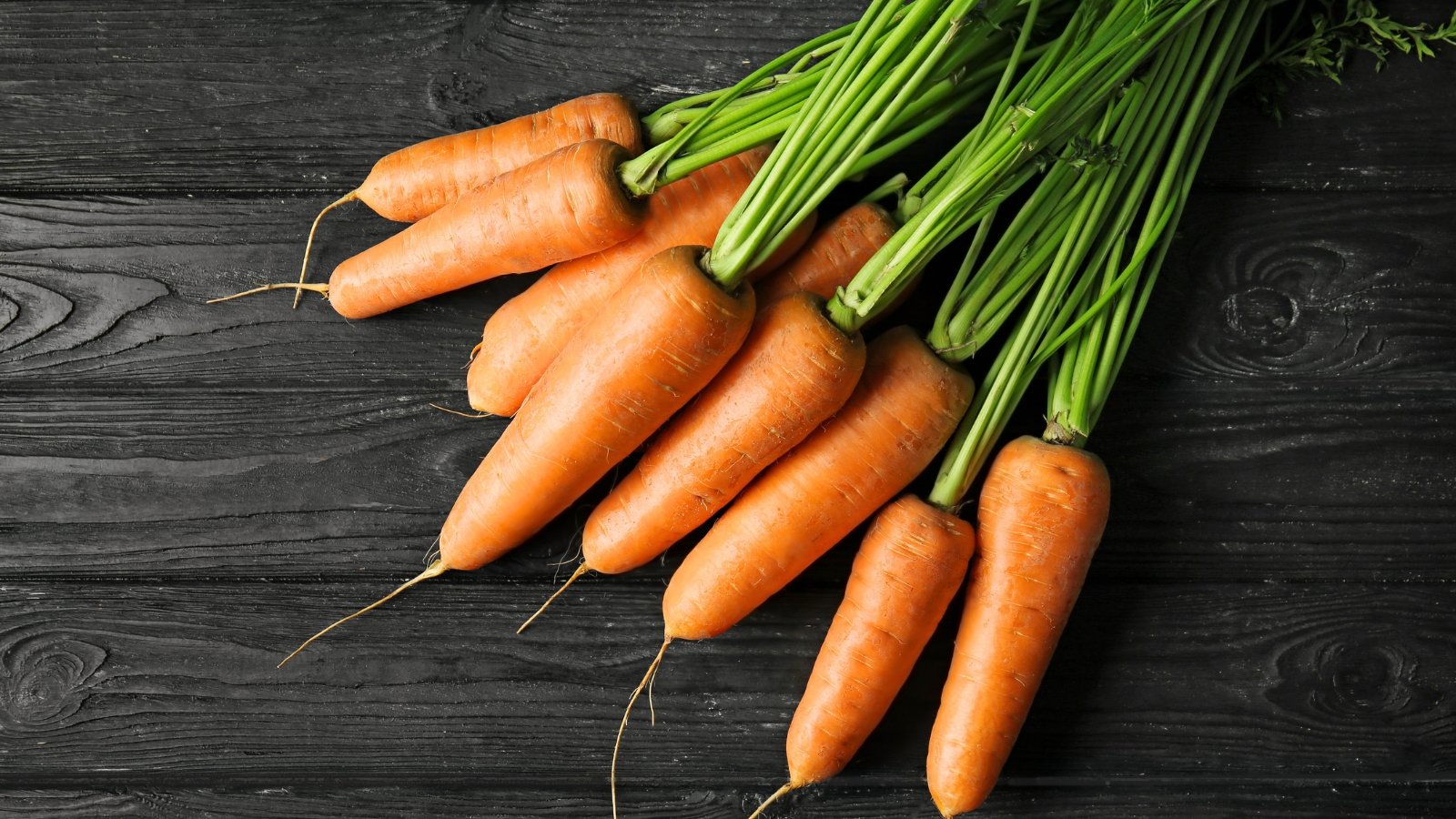 Shin Kuroda carrots with short, thick, bright orange roots and fresh green tops are neatly arranged on a wooden table.
