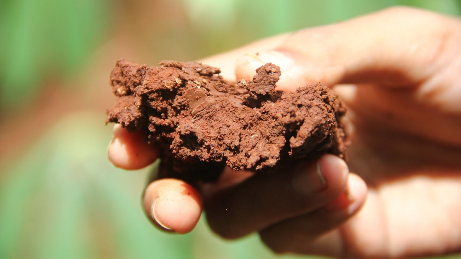 Hand holds dense, reddish-brown clay soil formed into a firm, compact clump.
