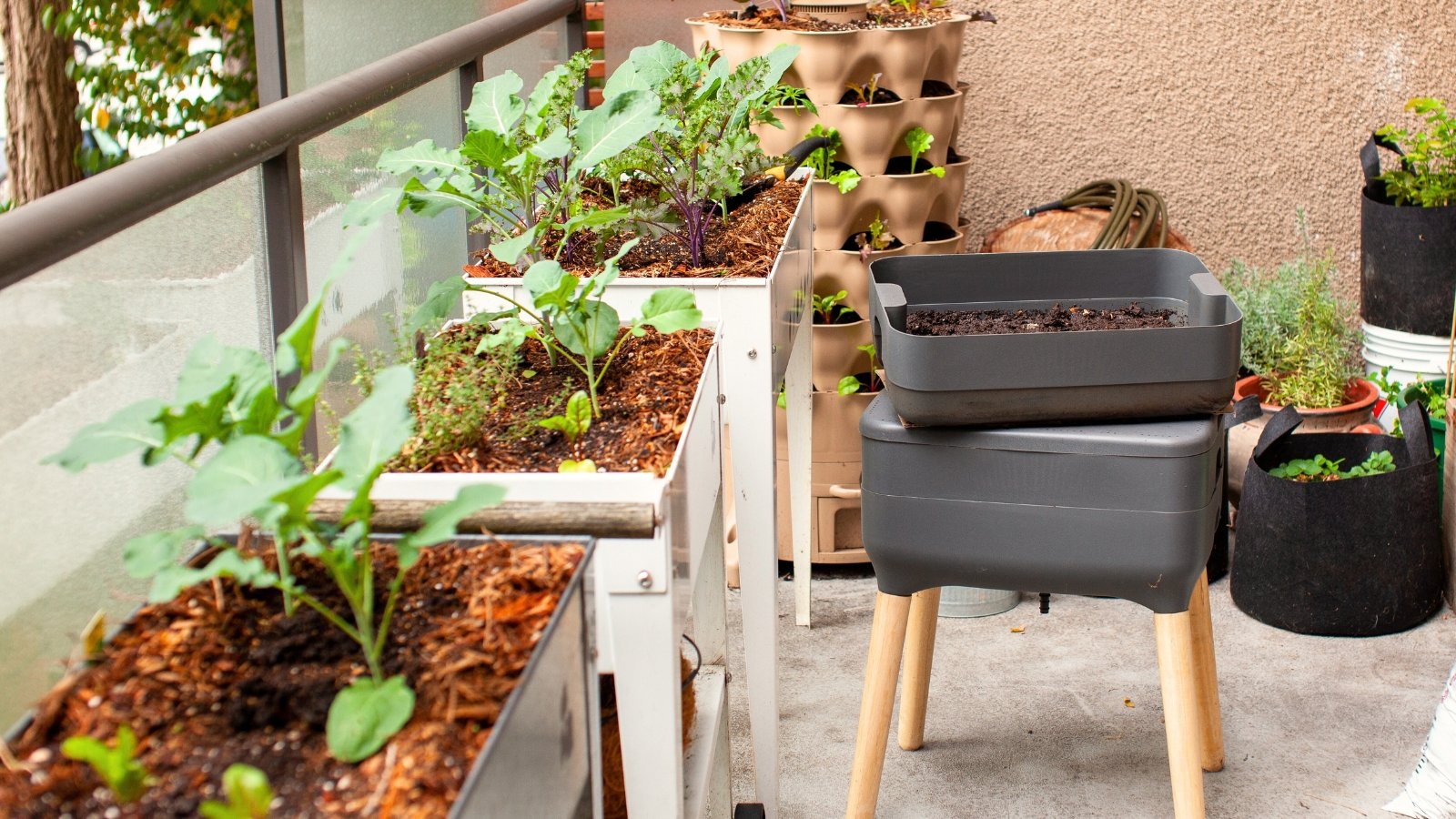 A small grey compost bin with wooden legs stands on a balcony, filled with dark soil and surrounded by raised beds growing assorted crops.