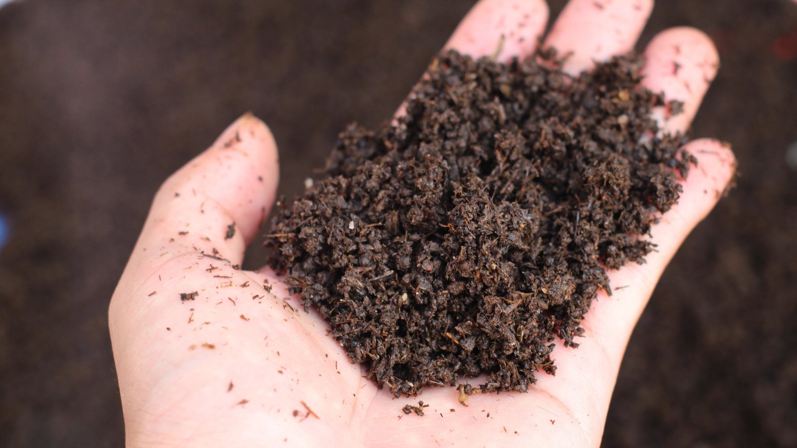 Dark, crumbly vermicompost with visible organic matter held in a slightly cupped hand.
