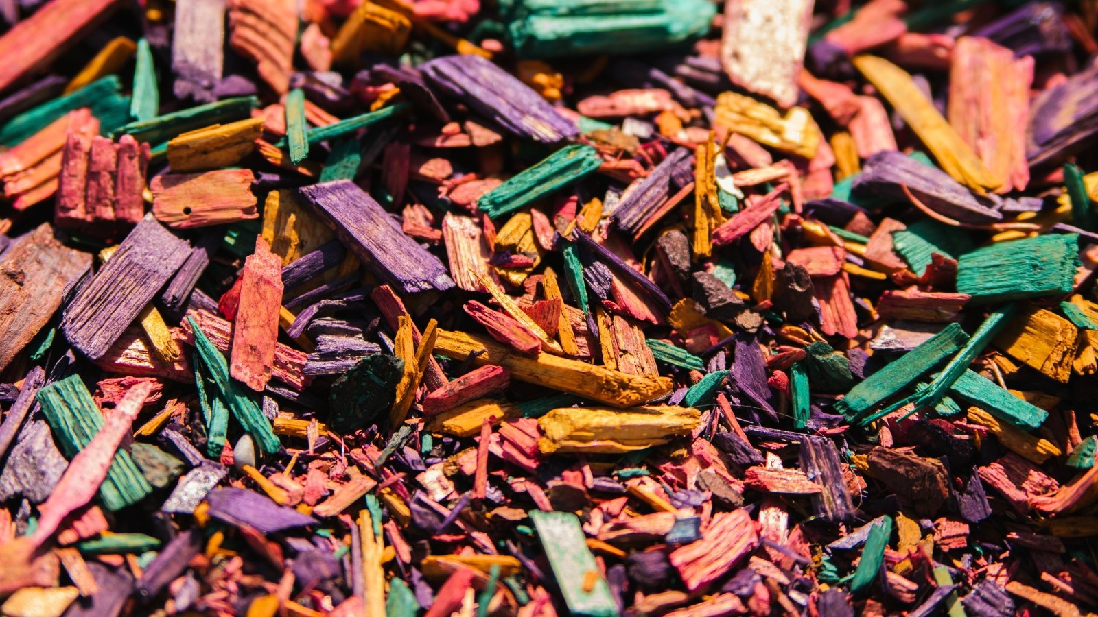 Brightly colored sawdust in shades of red, green, purple, and yellow is spread in swirling patterns across a garden bed for decorative effect.