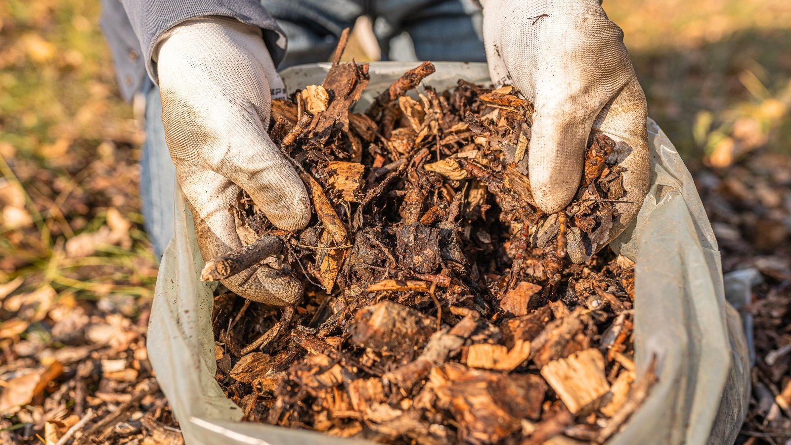 Close-up of hands in white gloves collecting leaves and tree bark for mulch into a white plastic bag.