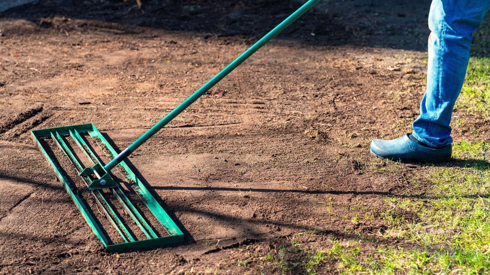 A man uses a wide metal lawn rake with a long handle to evenly level freshly loosened soil in a sunlit garden bed.

