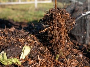 A gardener with a large spade displays perfectly decomposed, dark brown compost with a loose texture over a large garden compost pile.