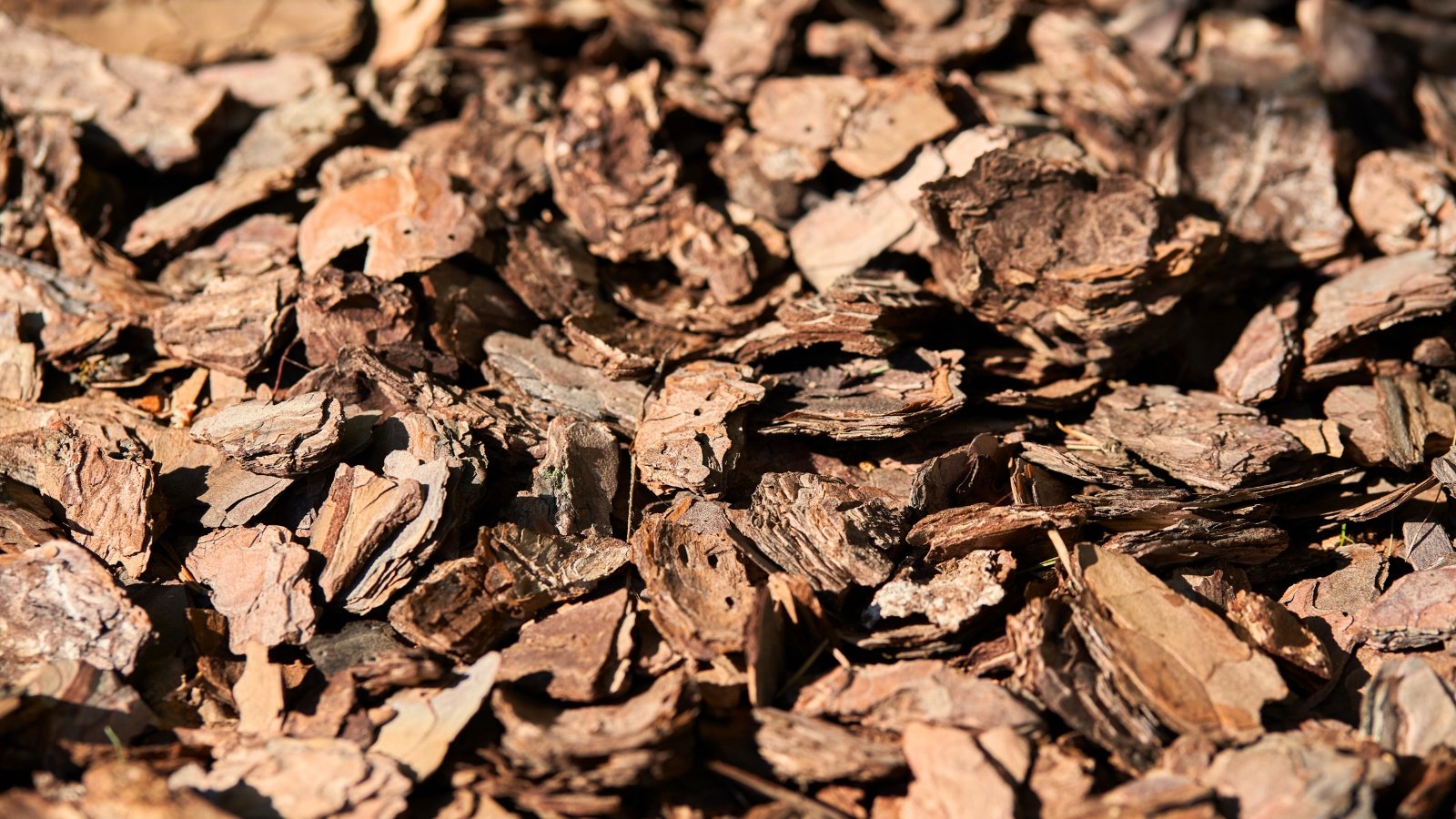 Coarse, reddish-brown pine bark mulch with rough, irregular pieces covers the soil in a textured, natural layer.