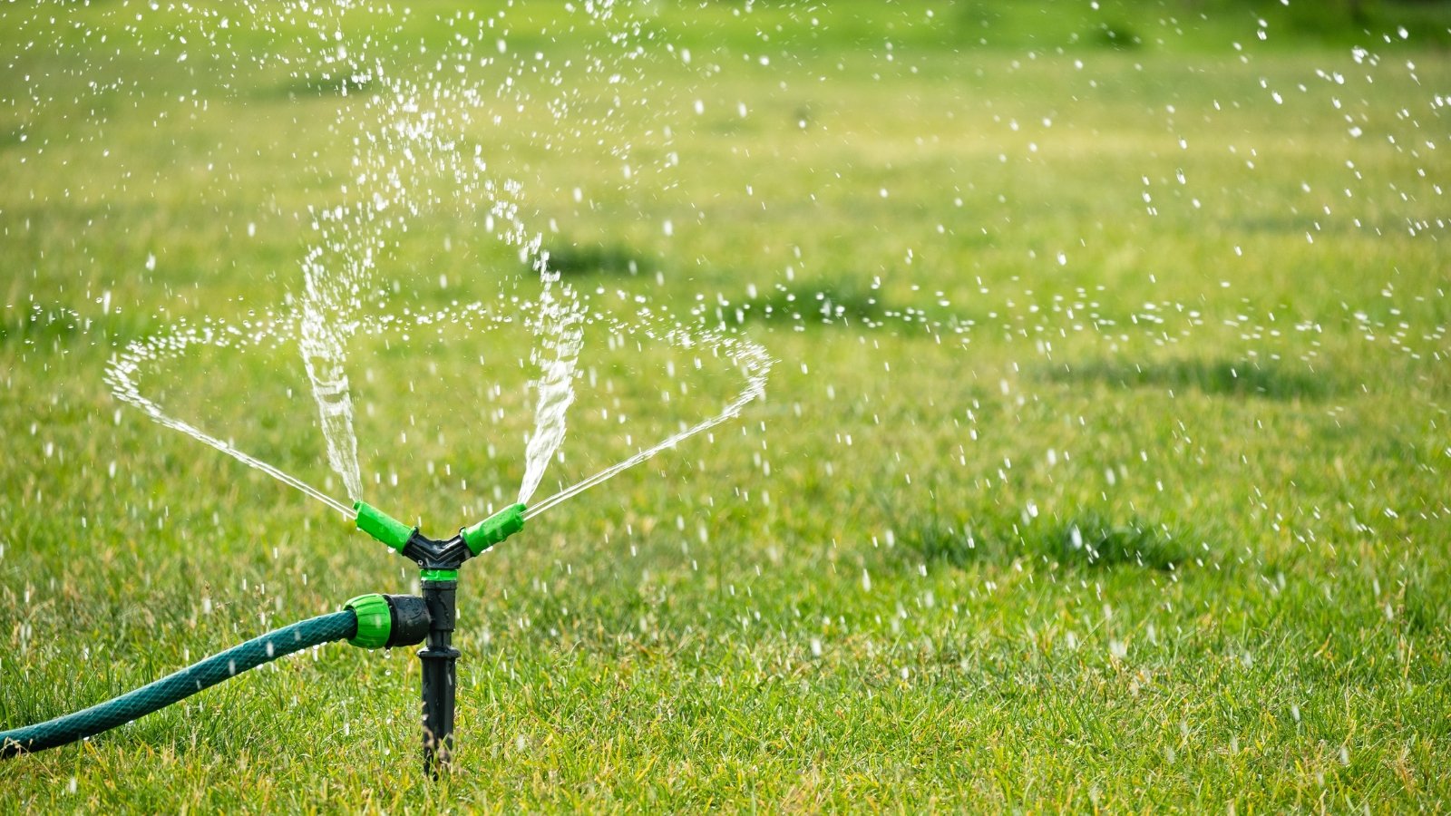 Green lawn glistens under the spray of an automatic sprinkler, with water droplets arching through the air.