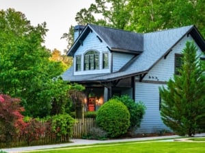 A light blue house surrounded by diverse year-round foundation plants including a red-leafed shrub, a spherical green shrub, and a conical evergreen.