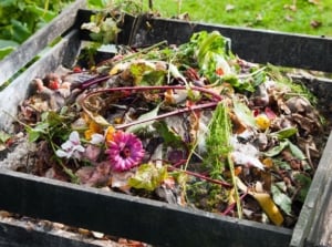 A close-up and overhead shot of a wooden bin filled with organic matter, showcasing a lazy compost method