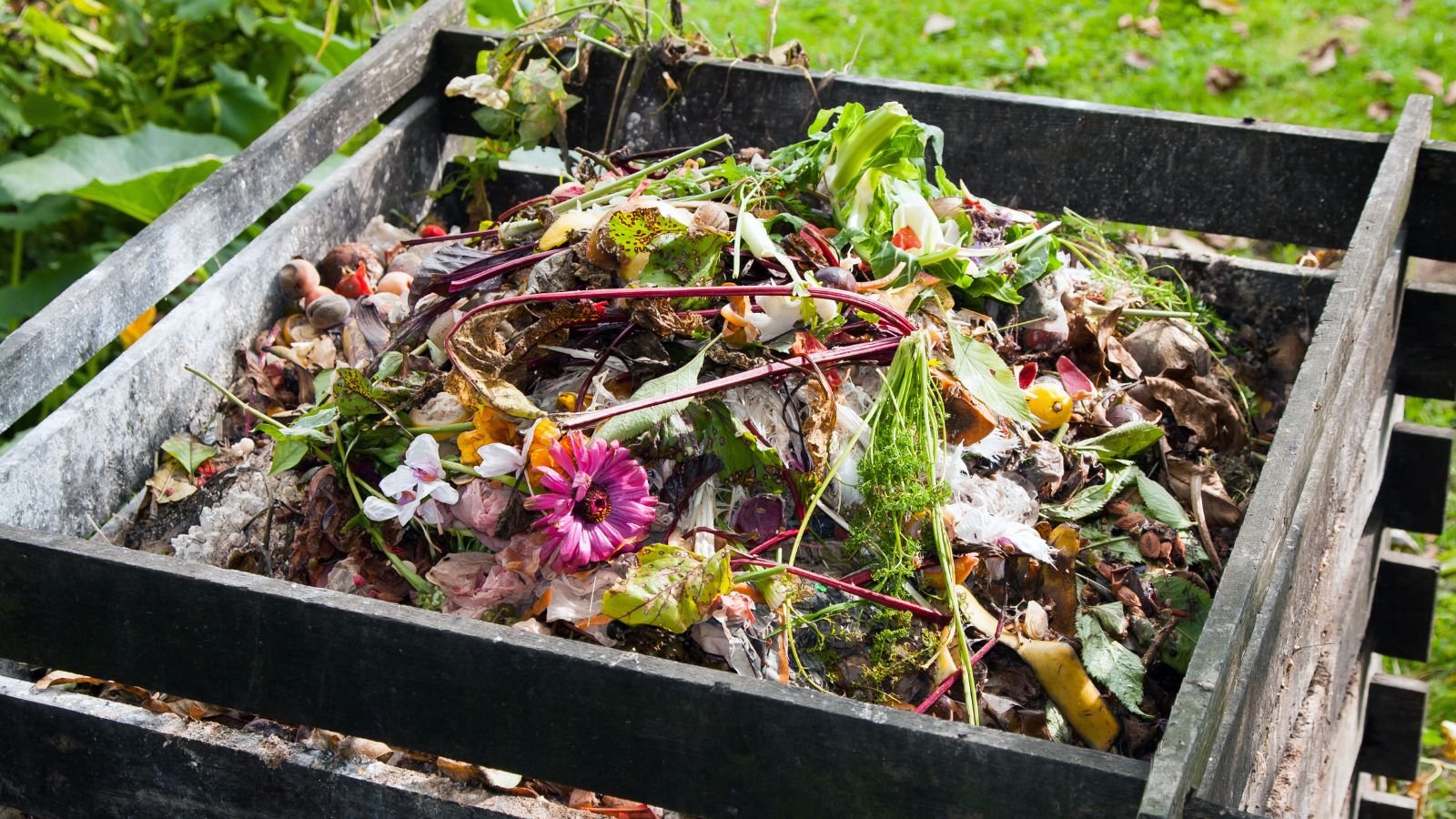 A close-up and overhead shot of a wooden bin filled with several dead and diseased plants and flowers