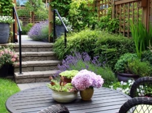 A close-up shot of a large composition of flowers and plants in a cozy townhouse yard area, showcasing how to grow a year-round perennial garden