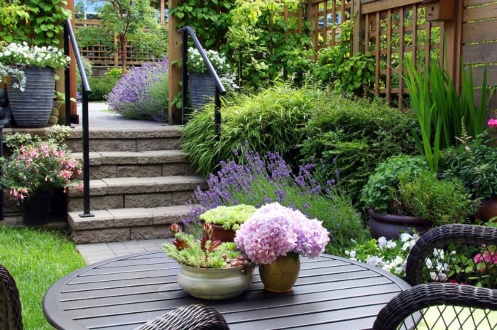 A close-up shot of a large composition of flowers and plants in a cozy townhouse yard area, showcasing how to grow a year-round perennial garden