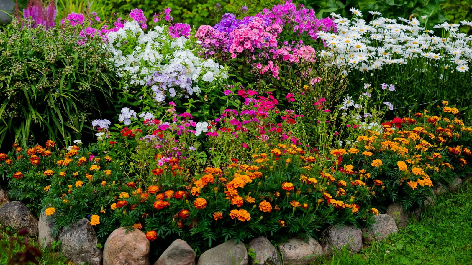 A close-up shot of a large composition of vibrant colored flowers, placed in a yard area with stone borders, all situated in a yard area outdoors