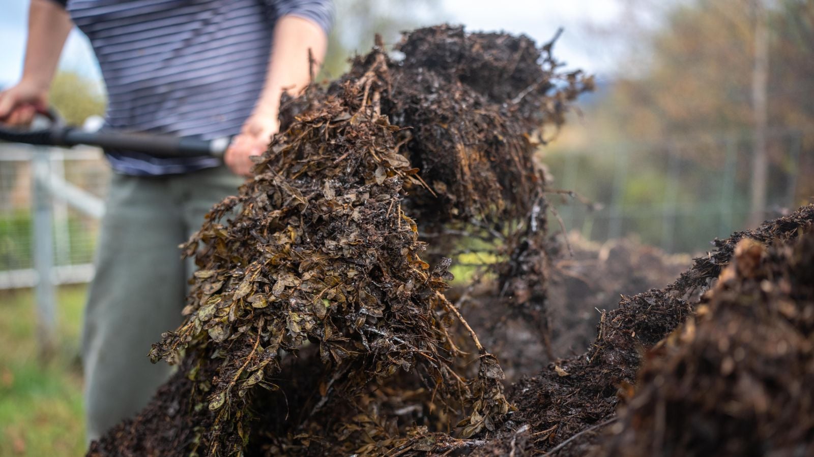 A close-up shot of a person in the process of harvesting a fresh pile of soil amendment