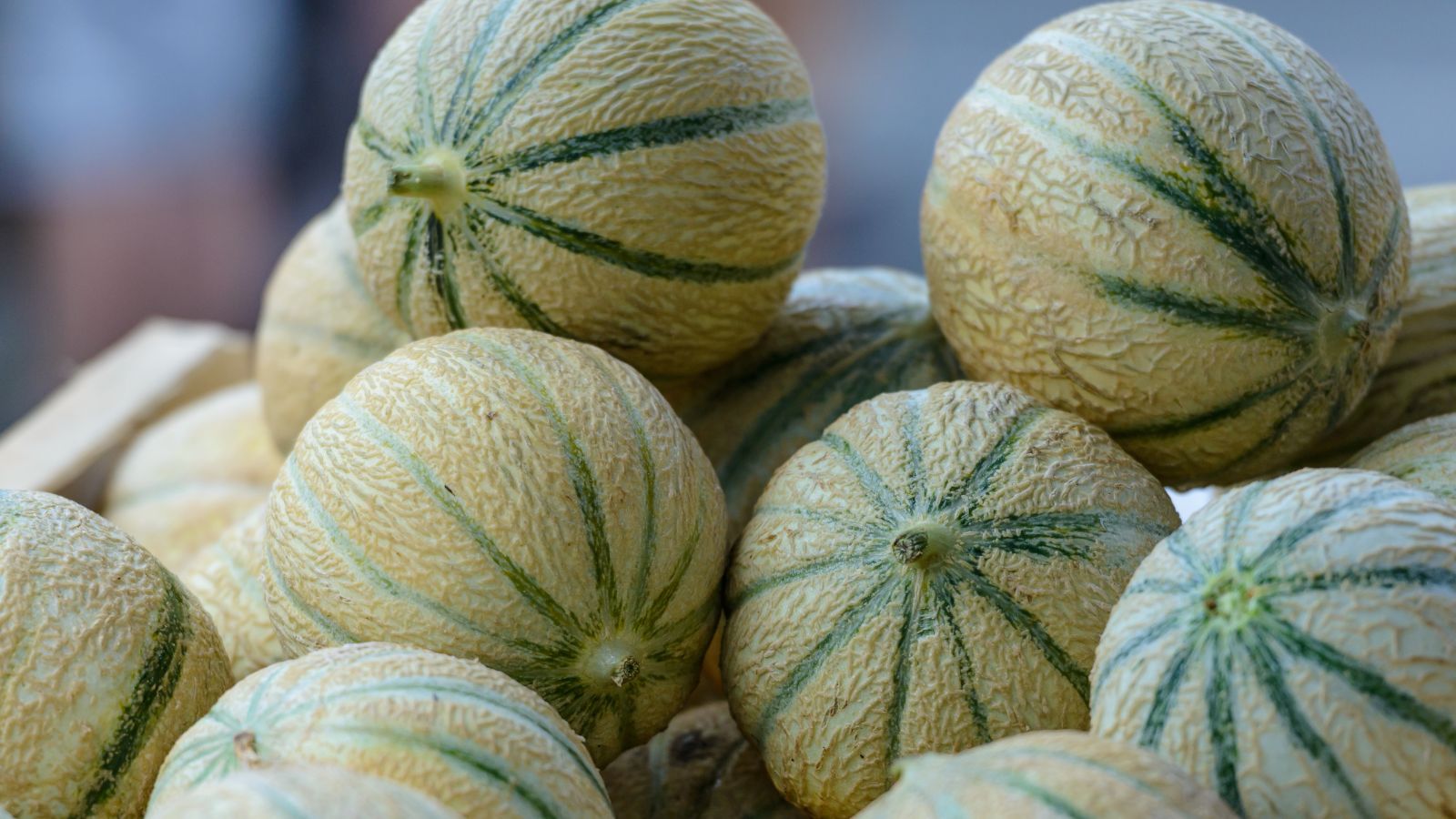 A close-up shot of a pile of ripe round fruits that has been collected and placed in a well lit area