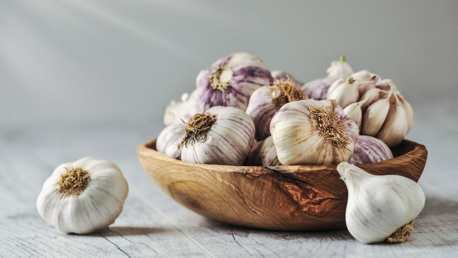 A close-up shot of several freshly harvested bulbs of a crop, placed on top of a wooden surface in a well lit area indoors