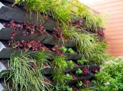 A lovely plant wall with thriving foliage of various colors, placed near bushes with pretty blooms
