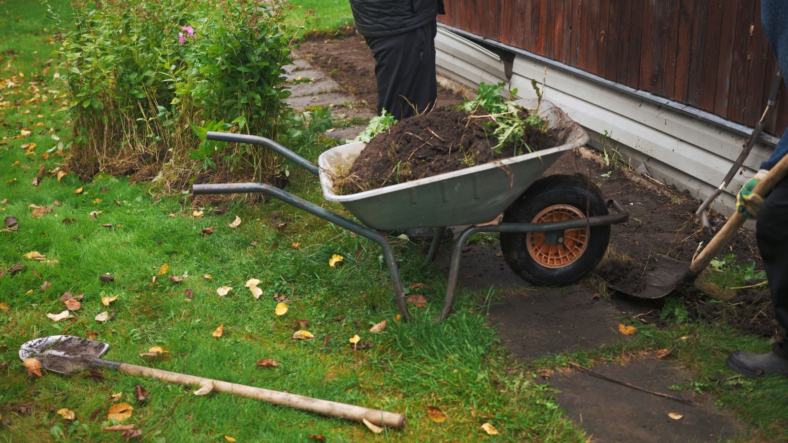 A shot of a person in the process of uprooting flowering plants in a well lit area outdoors