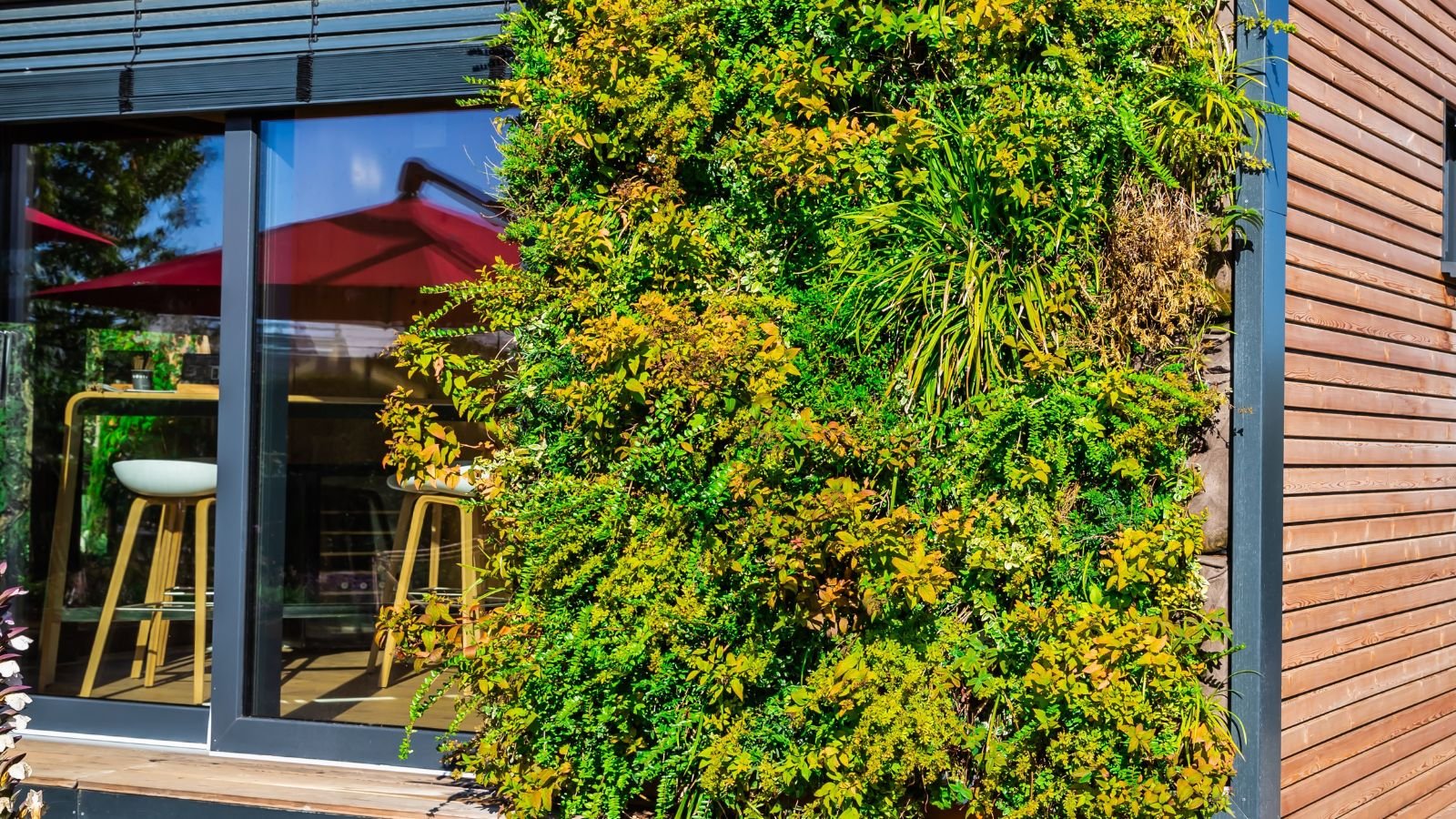 An arrangement on the side of a building, having lovely foliage with different shades of green