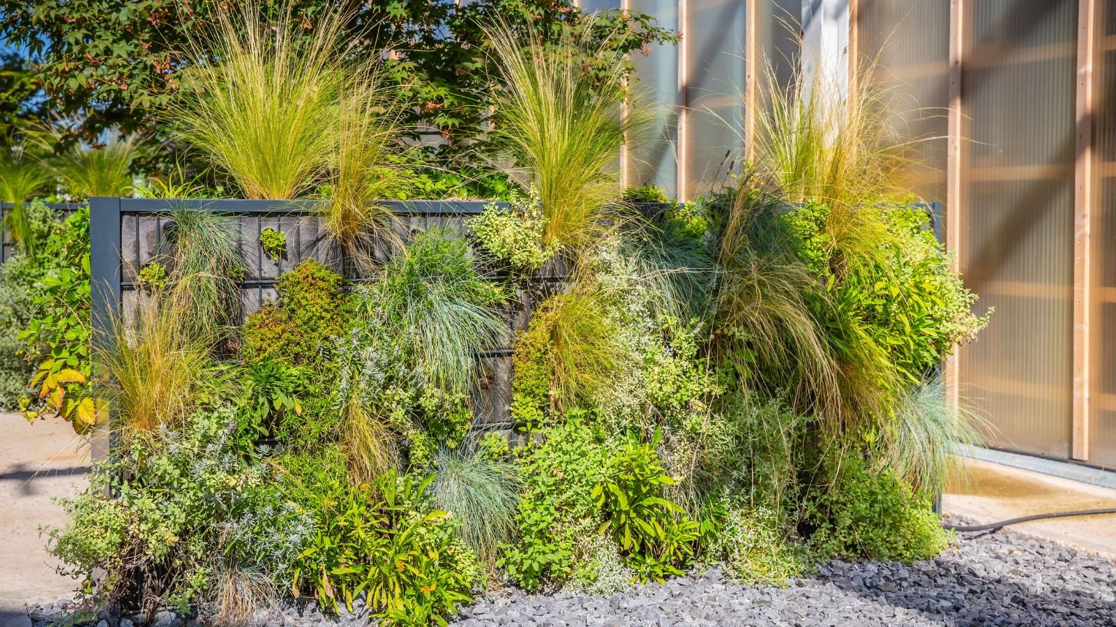 An arrangement outdoors with pebbles on the ground, placed under abundant sunlight
