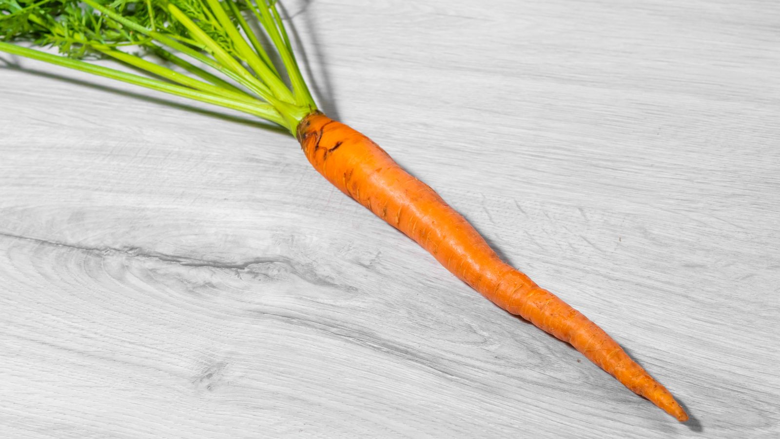 A close-up and overhead shot of a single long and slender orange taproot crop called Carrot ‘Manpukuji’, placed on a wooden surface indoors