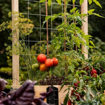 Epic GardenBox Trellis