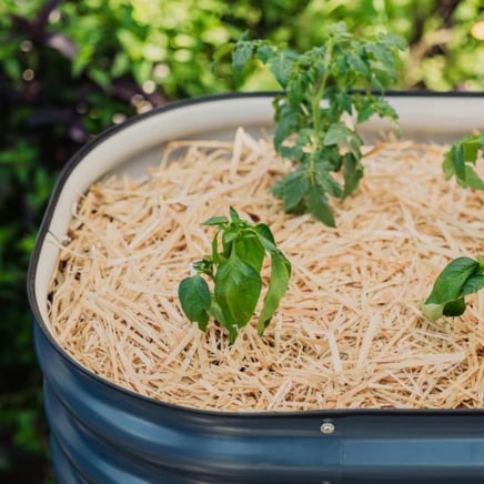 Epic Organic Garden Straw