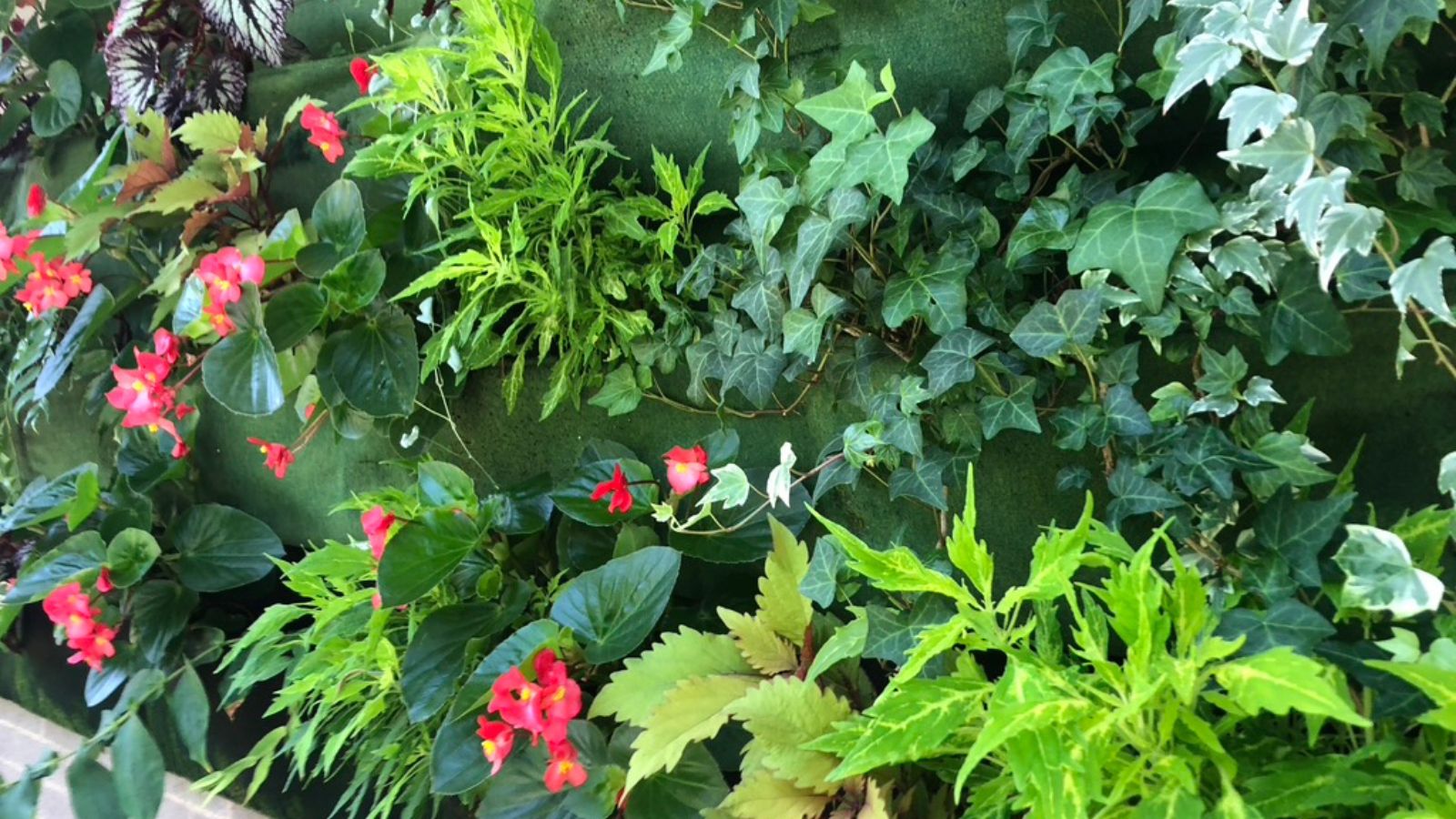 Felt pockets hung meant to hold different plants that can grow vertically with vibrant blooms