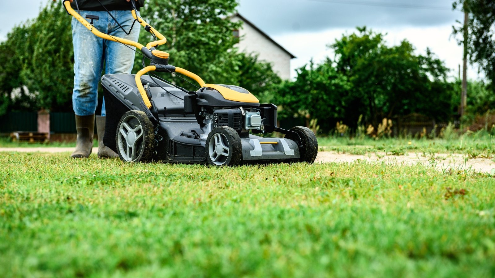 Gardener in high boots and jeans pushes a yellow lawn mower across the green garden grass.