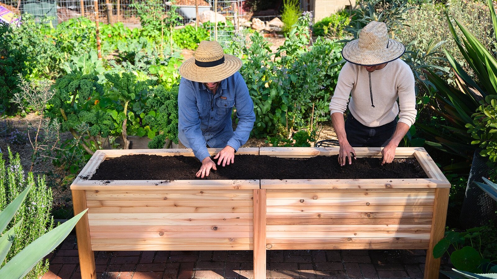 Gardeners in straw hats level loose black soil on a raised wooden bed surrounded by a green vegetable and flower garden.