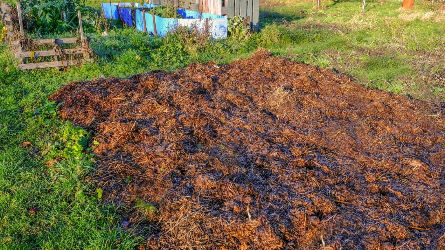 Composting Layring How To Prevent Pests in Your Compost Pile