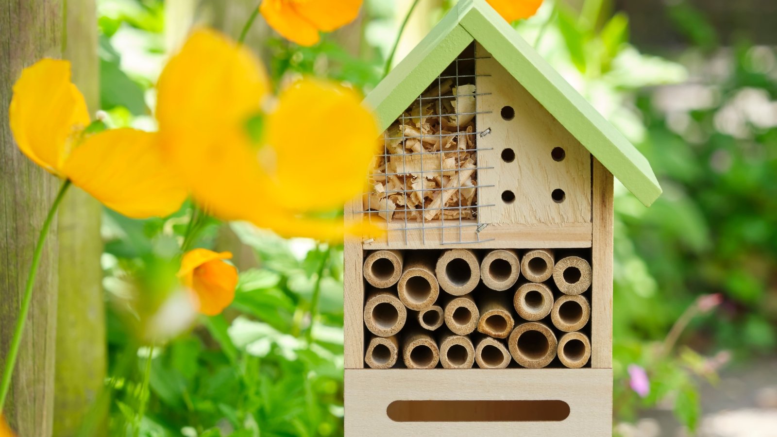 A wooden insect hotel with multiple compartments nestled among colorful blooming garden flowers and green foliage.