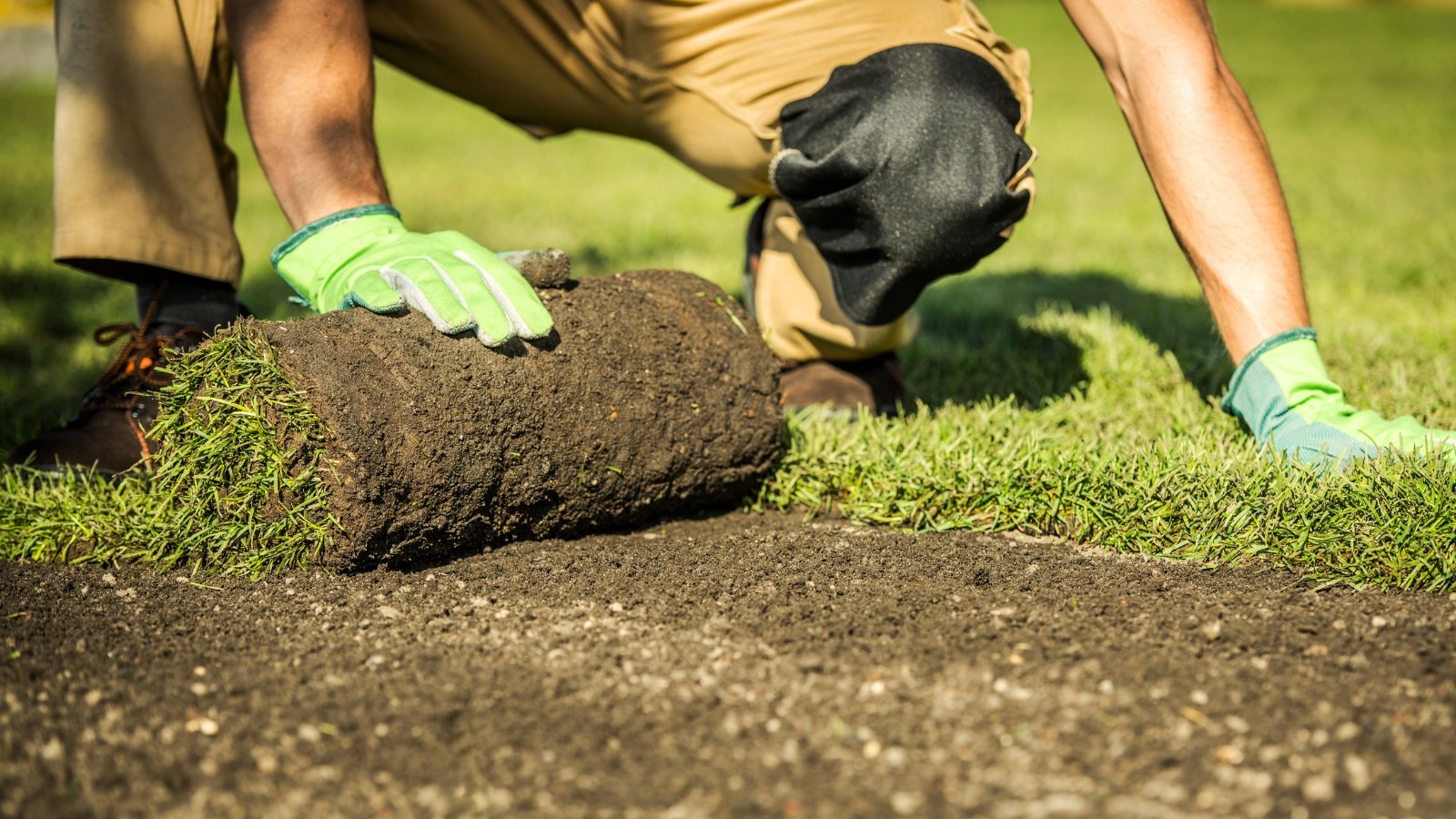 A person carefully unrolls fresh sod on a grassy area, fitting the turf pieces together to form a lush green lawn.
