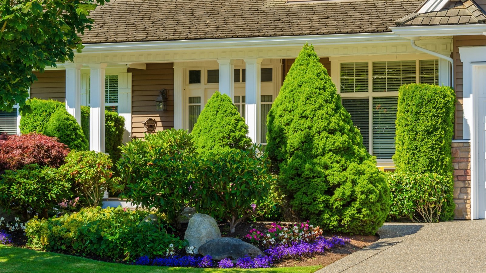 A luxury house in refined beige and white tones is complemented by a stunning front garden with tall lush perennial bushes, evergreen thuja, boxwood, and blooming perennials, all framed by a neatly kept lawn and smooth asphalt.
