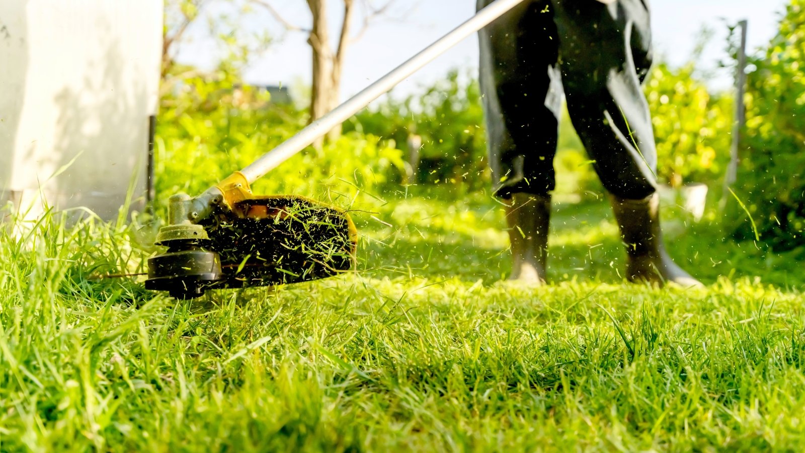 A gardener pushing a compact lawn mower over a green lawn, trimming grass evenly.